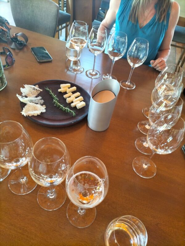 Choose your Own Wine Adventure at Luján de Cuyo - Image 5
