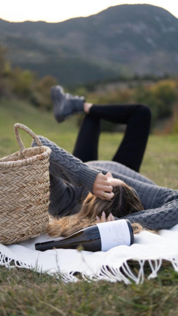 Choose your Own Wine Adventure at Luján de Cuyo - Image 8