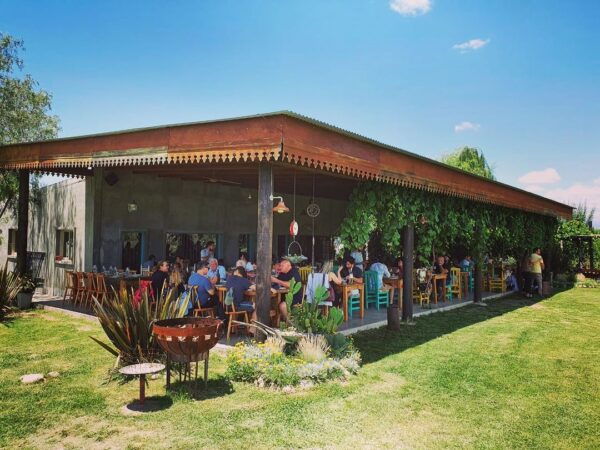 Visit & Tasting at Salentein + Lunch at La Azul - Image 2