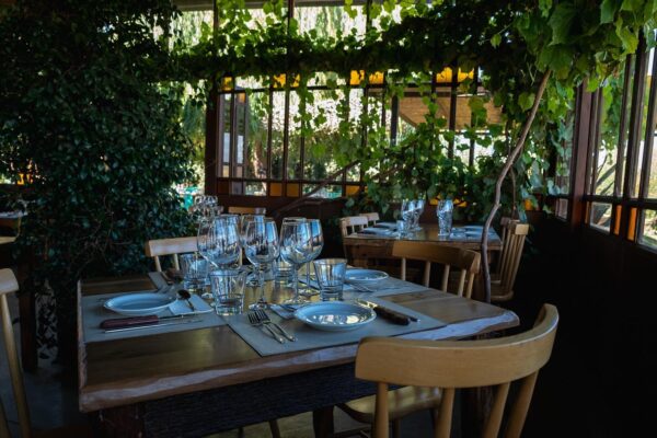 Visit & Tasting at Salentein + Lunch at La Azul - Image 5
