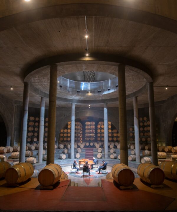 Wine Icons: Meet Salentein at the heart of Uco Valley - Image 6