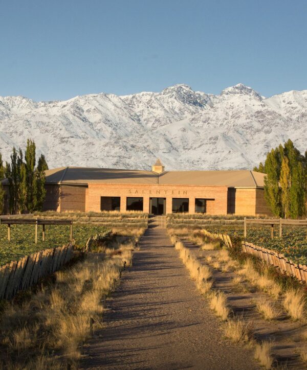 Wine Icons: Meet Salentein at the heart of Uco Valley - Image 4