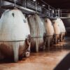 Wine Icons: Discover Susana Balbo’s Winery - Image 4
