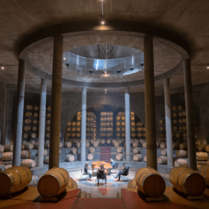 Mendoza Essentials: 5-Day Private Experience