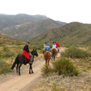 Sunset Horseback Ride: Scenic Tour & Asado in the Andes