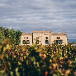 Mendoza: Trapiche Winery Tour with Wine Tasting