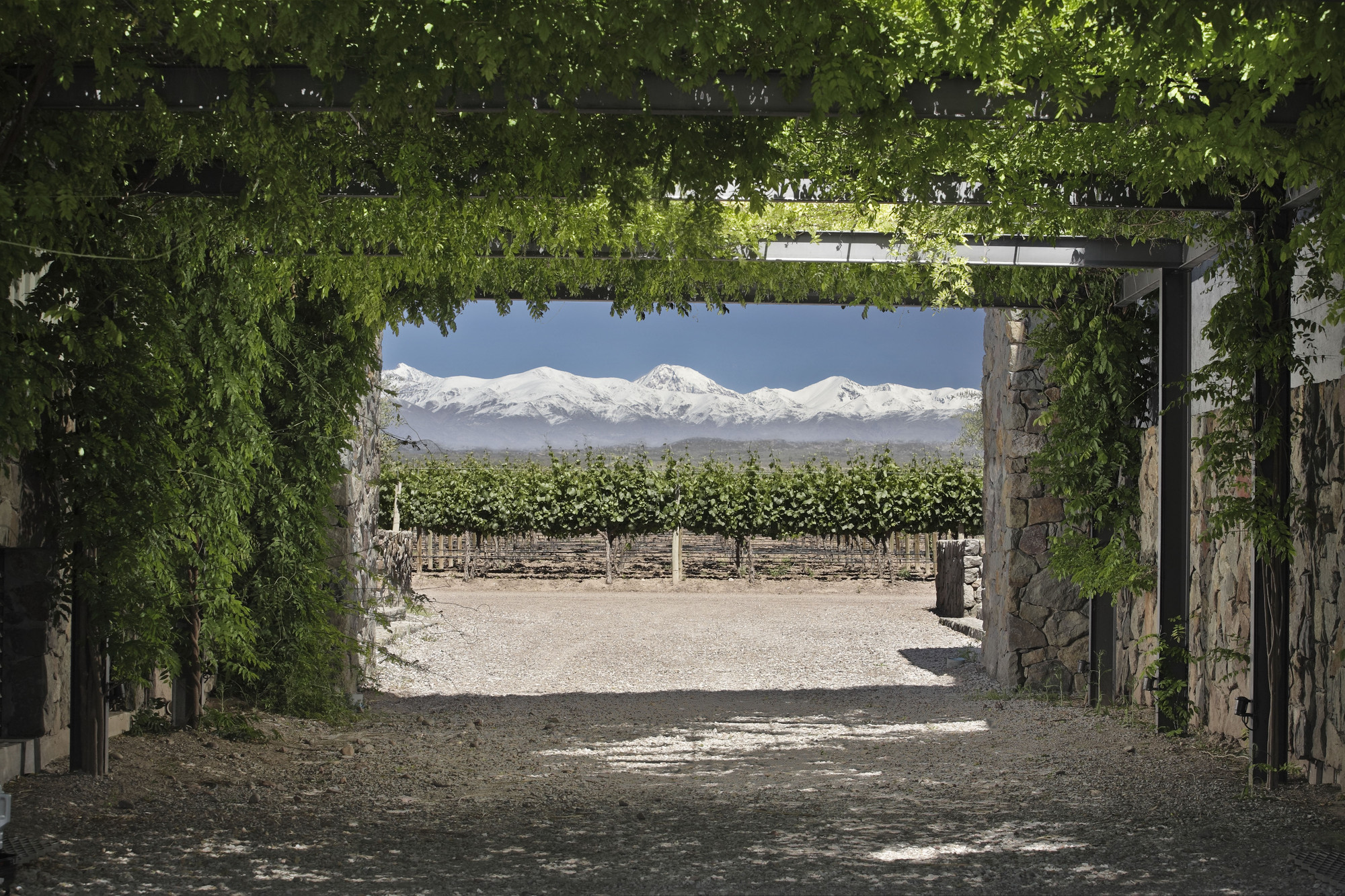 Pulenta Estate Exclusive Visit & Tasting - Image 3