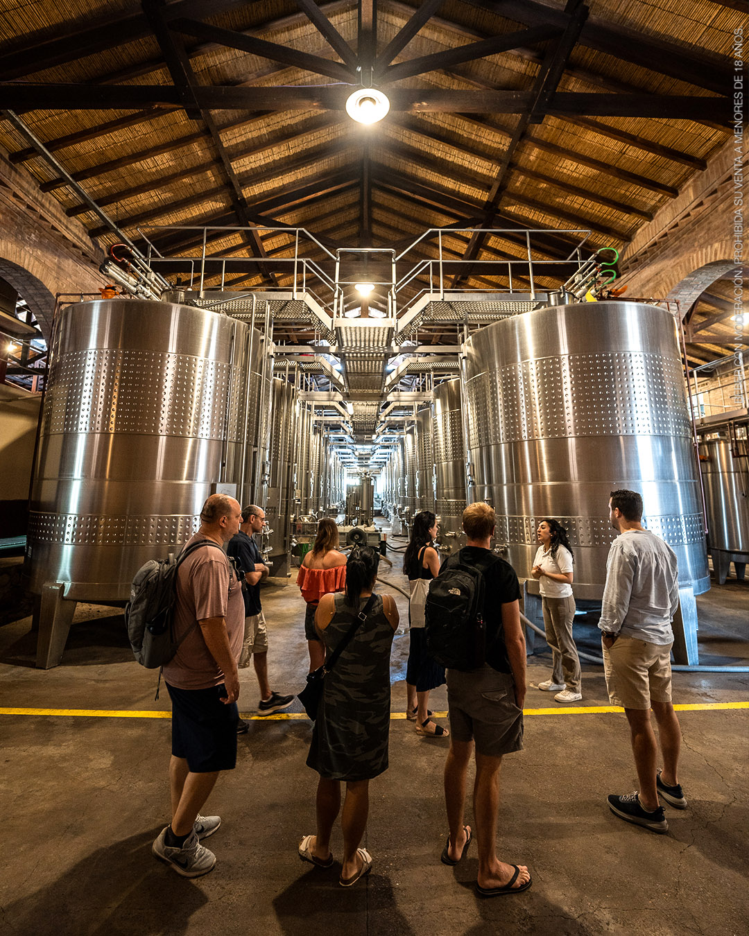 Alta Vista Winery - All About Malbec Visit & Tasting - Image 2