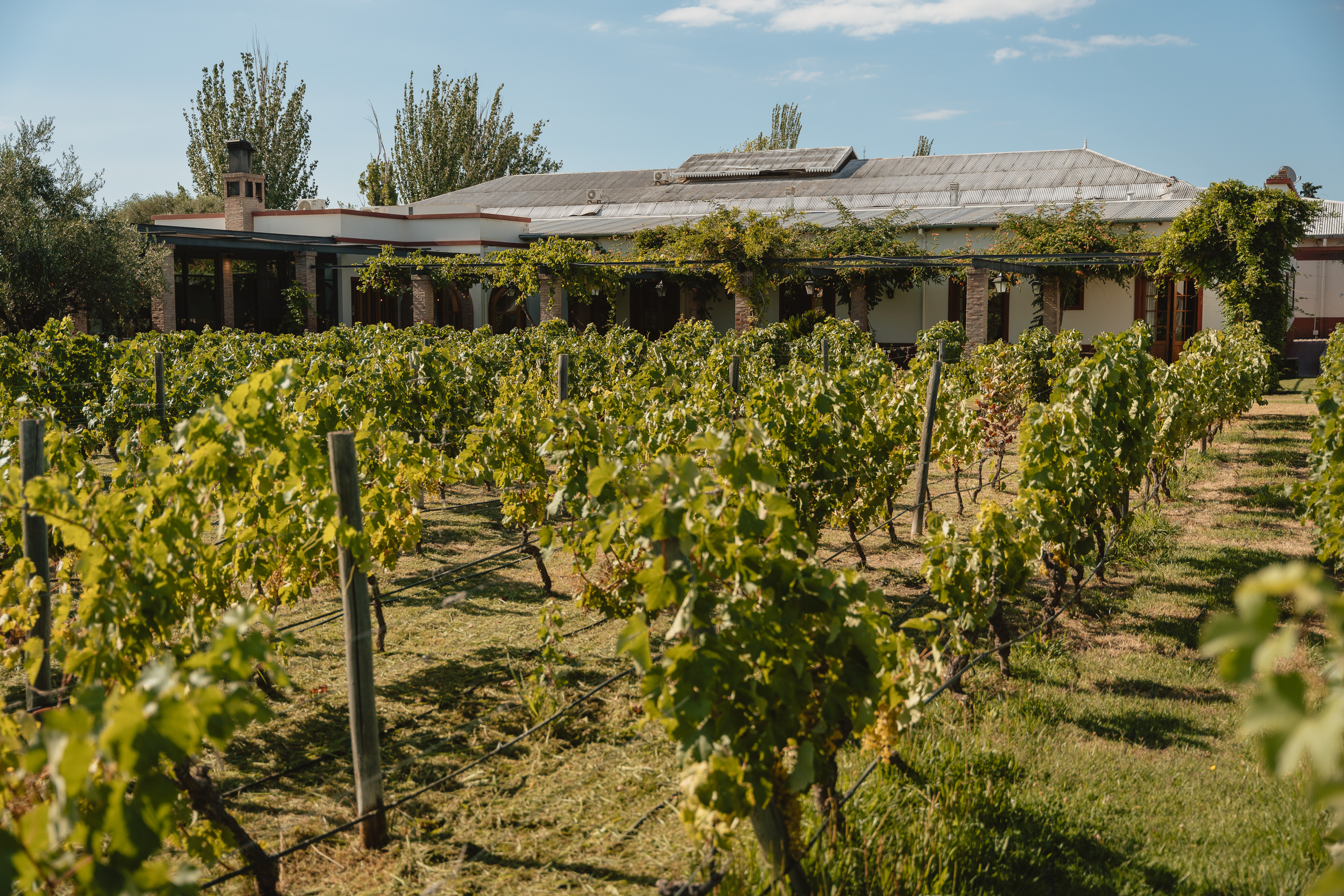 Alta Vista Winery - All About Malbec Visit & Tasting - Image 4