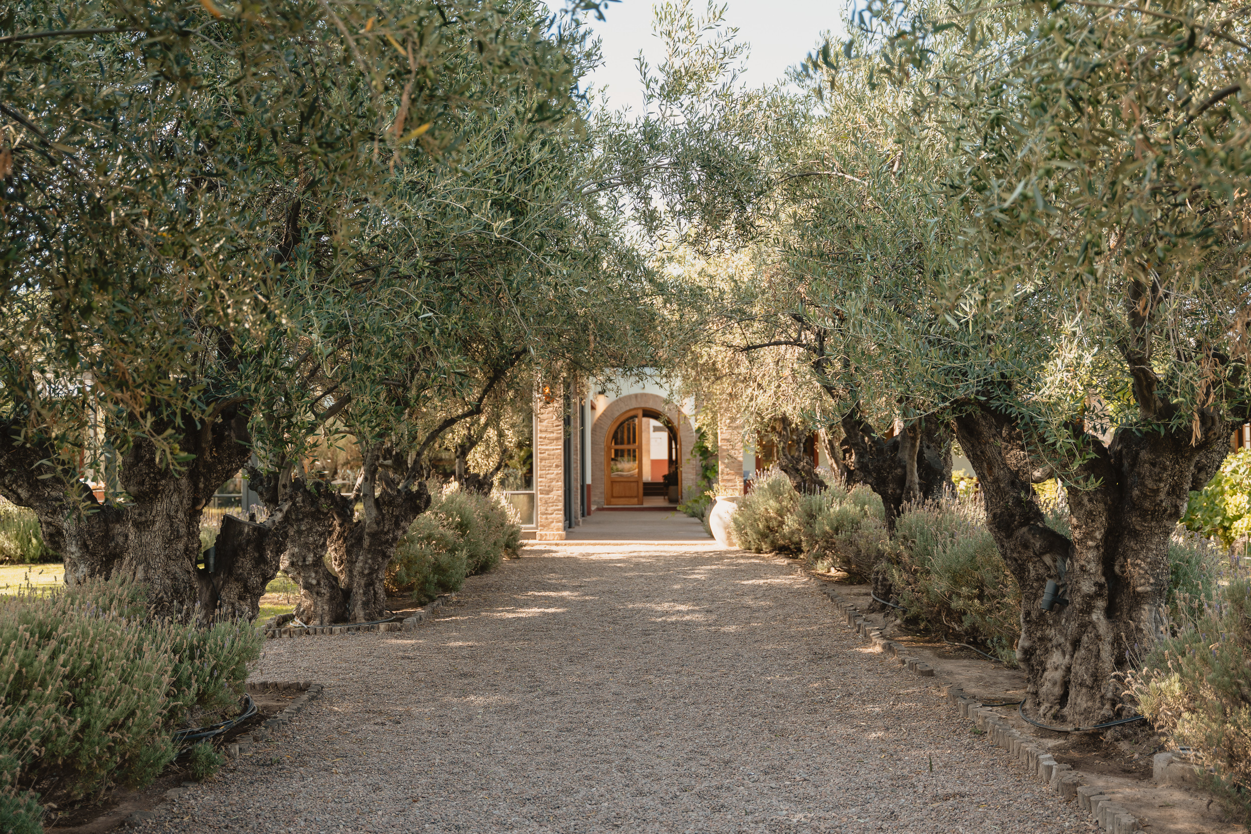 Alta Vista Winery - All About Malbec Visit & Tasting - Image 5