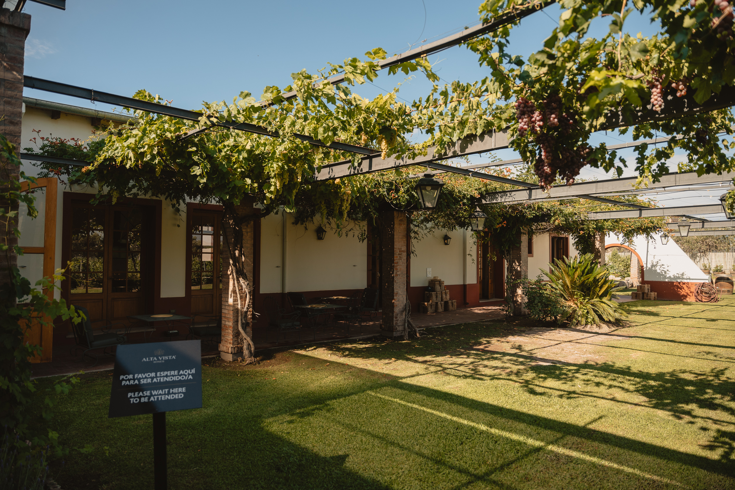 Alta Vista Winery - All About Malbec Visit & Tasting - Image 6