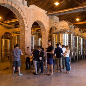 Discover Terrazas de los Andes: High-Altitude Wines with a View