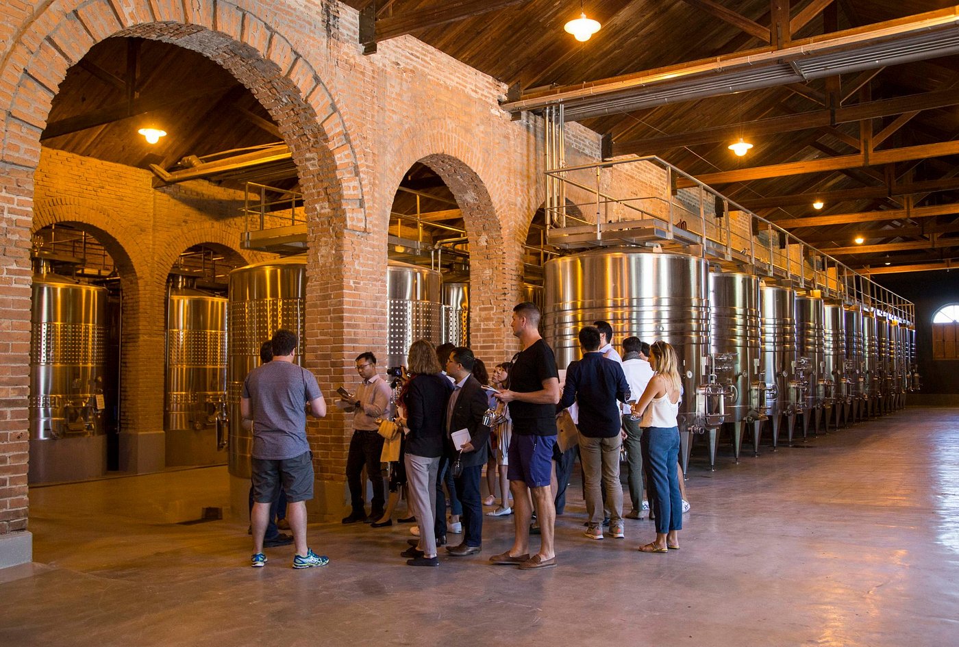 Discover Terrazas de los Andes: High-Altitude Wines with a View