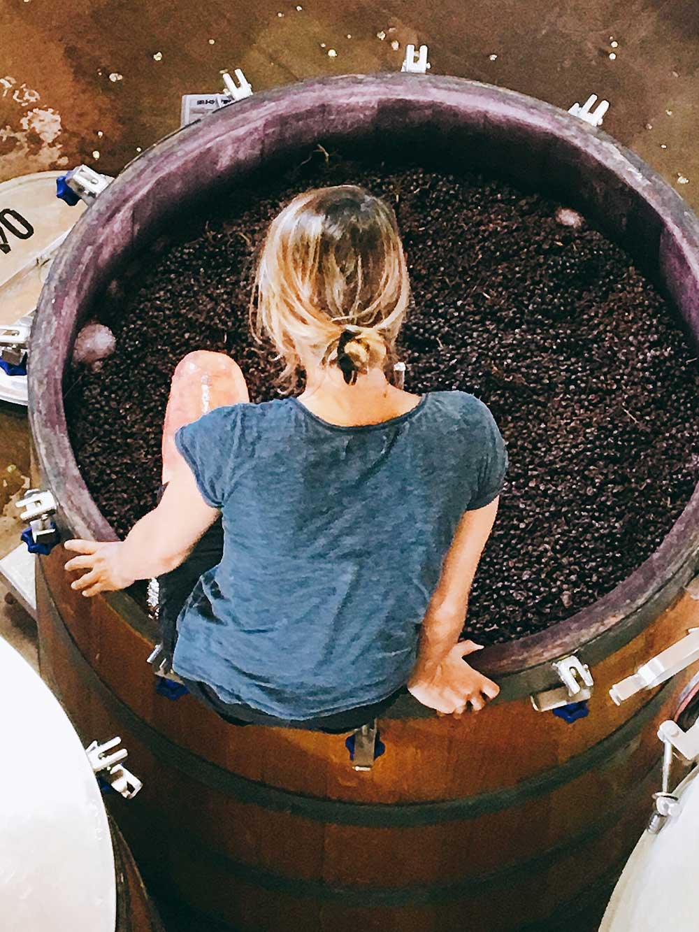 Riccitelli Wines: The New Wave of Argentine Wine - Image 3