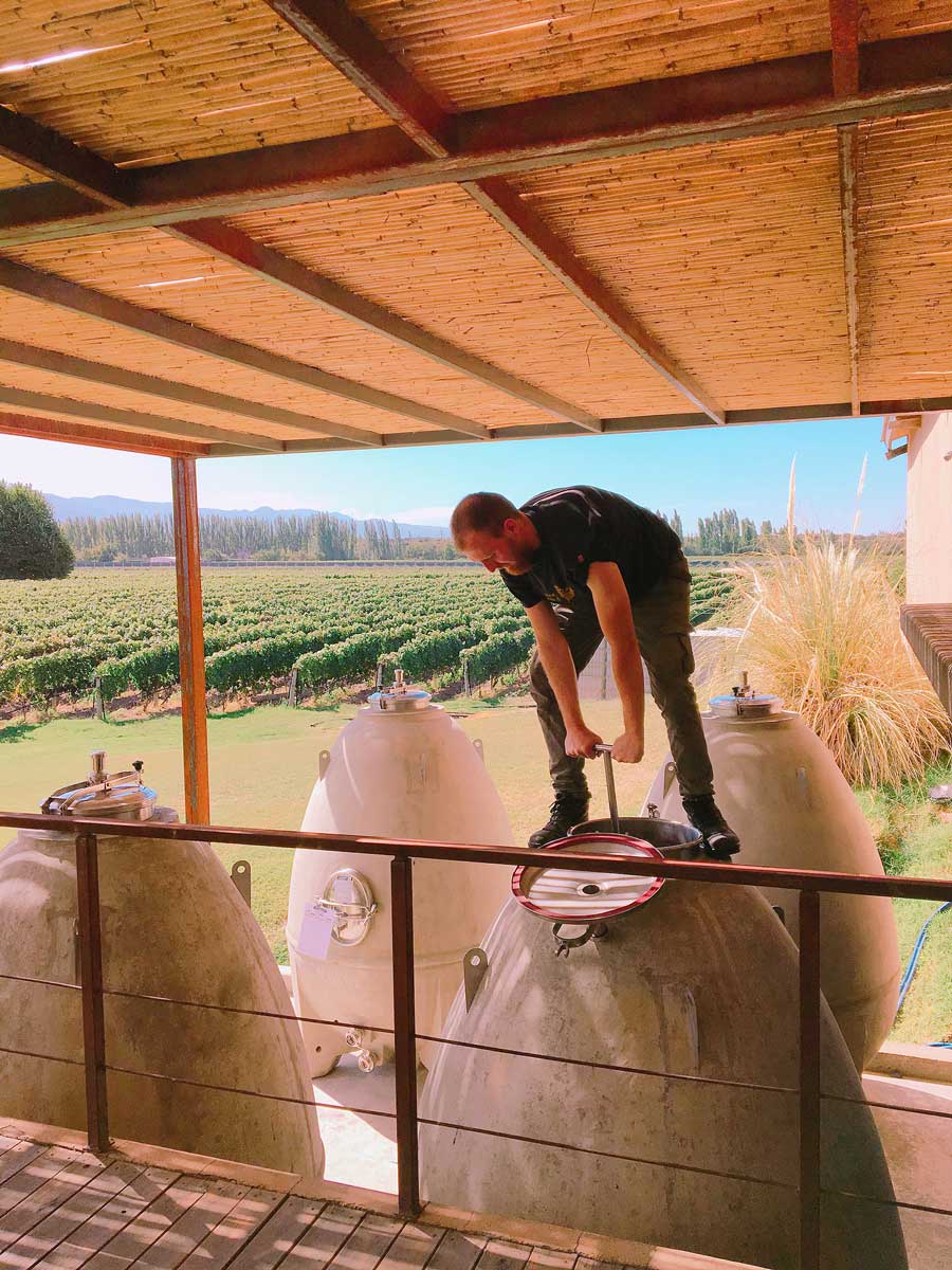 Riccitelli Wines: The New Wave of Argentine Wine - Image 4