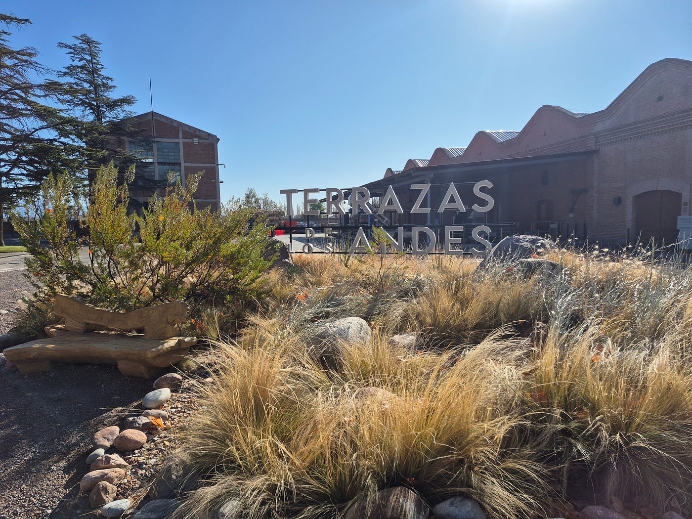 Discover Terrazas de los Andes: High-Altitude Wines with a View - Image 3