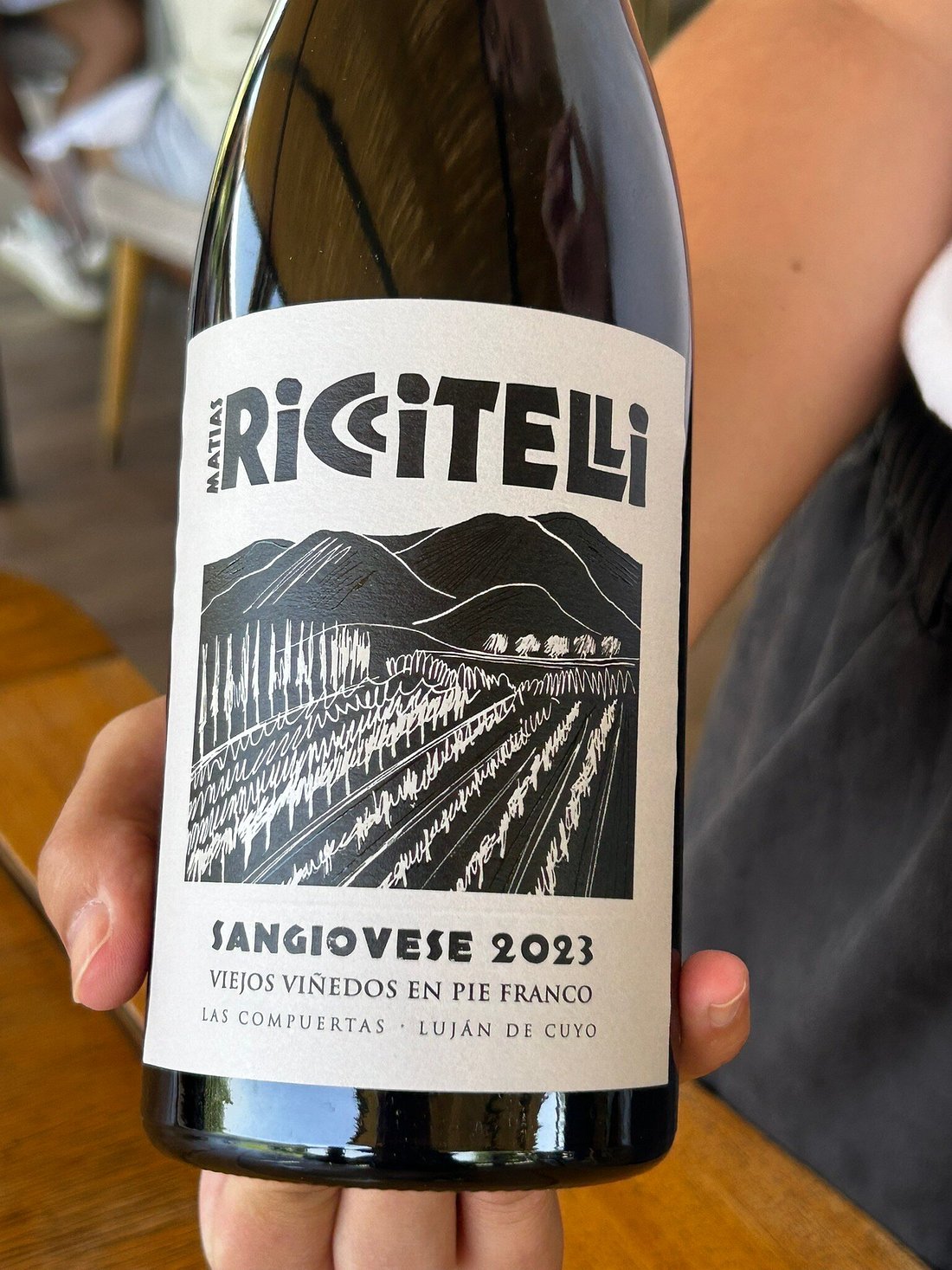 Riccitelli Wines: The New Wave of Argentine Wine