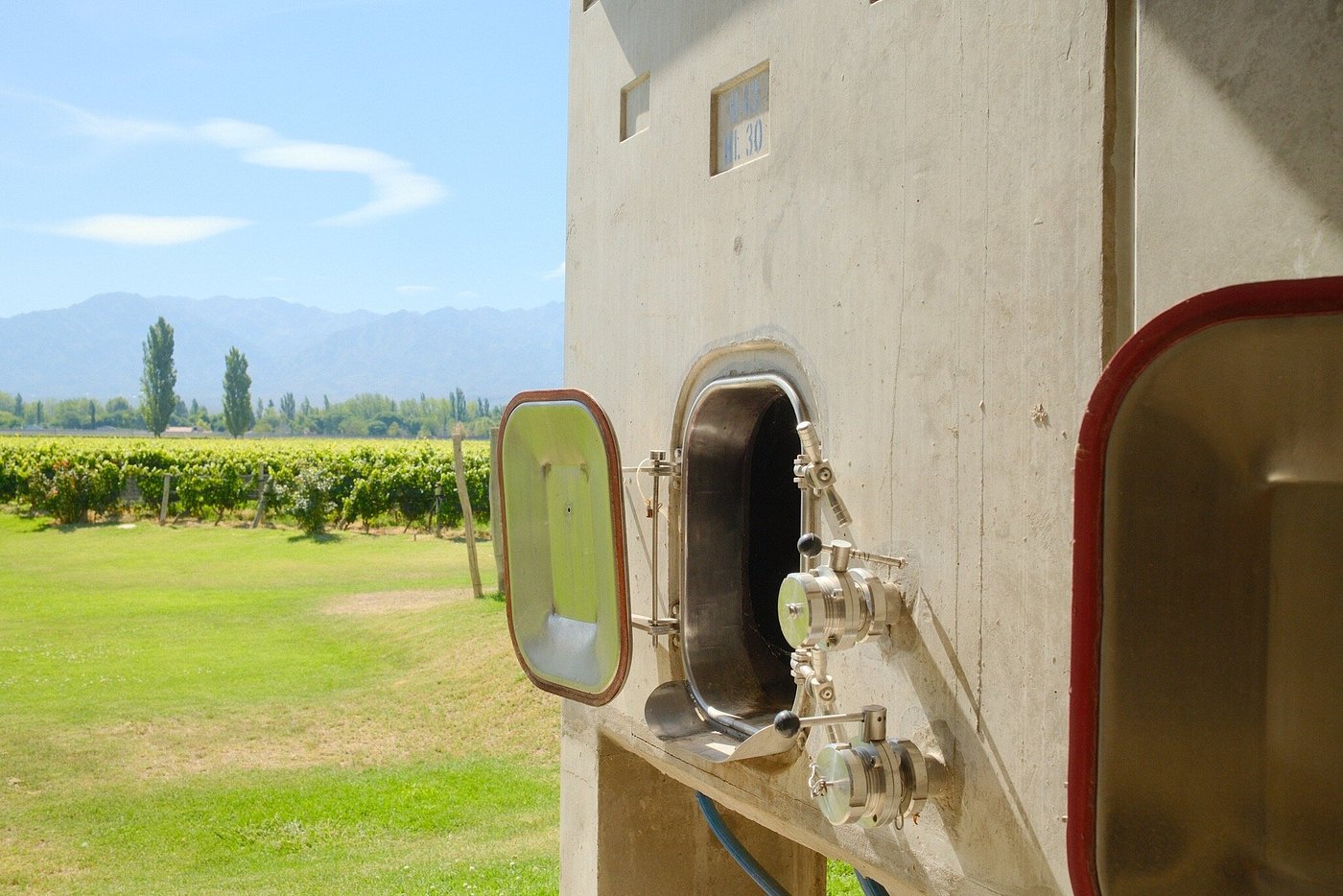 Riccitelli Wines: The New Wave of Argentine Wine - Image 6