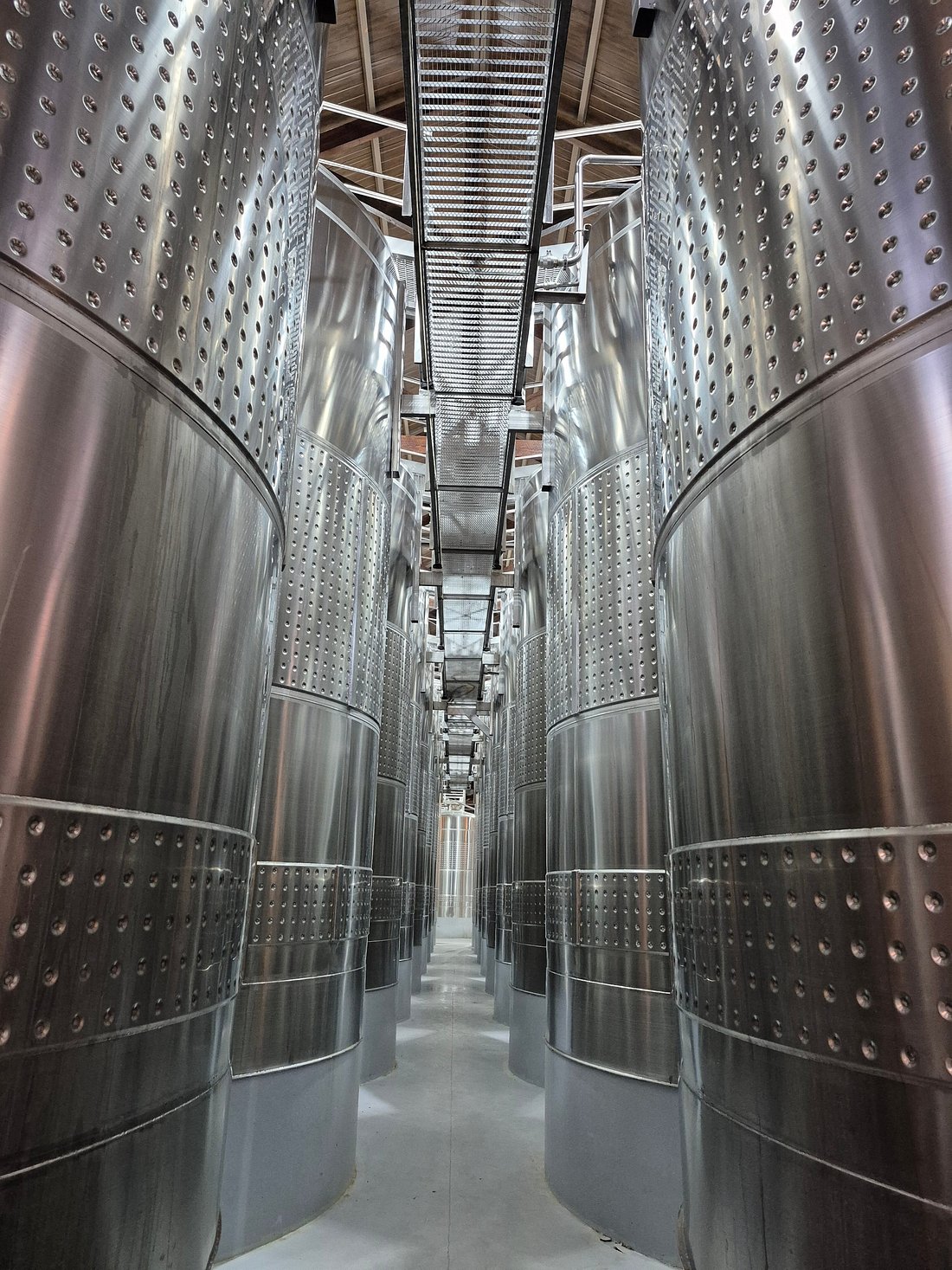 Discover Terrazas de los Andes: High-Altitude Wines with a View - Image 4