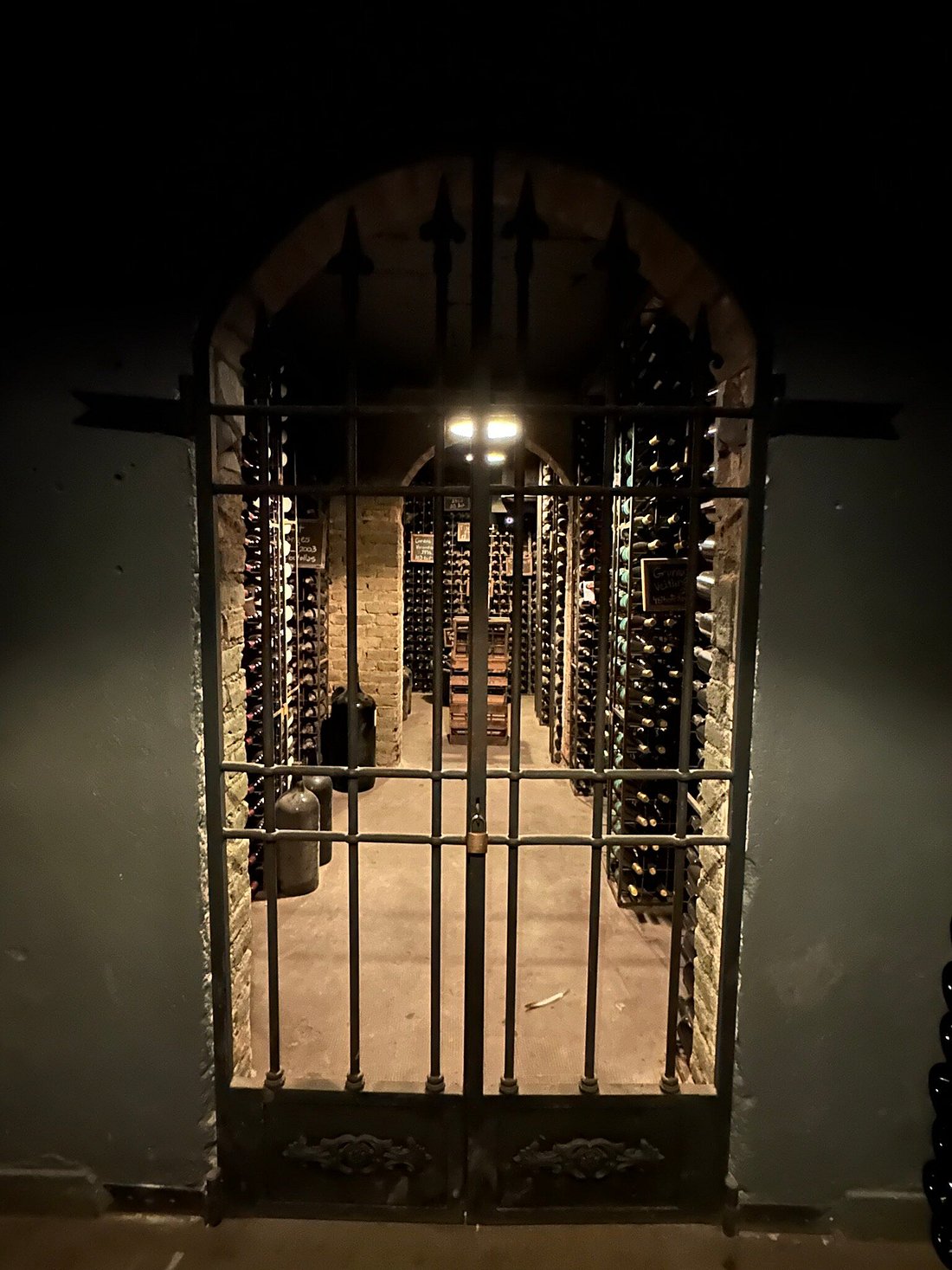 Norton Winery & Andes Views: A Classic Mendoza Experience - Image 7