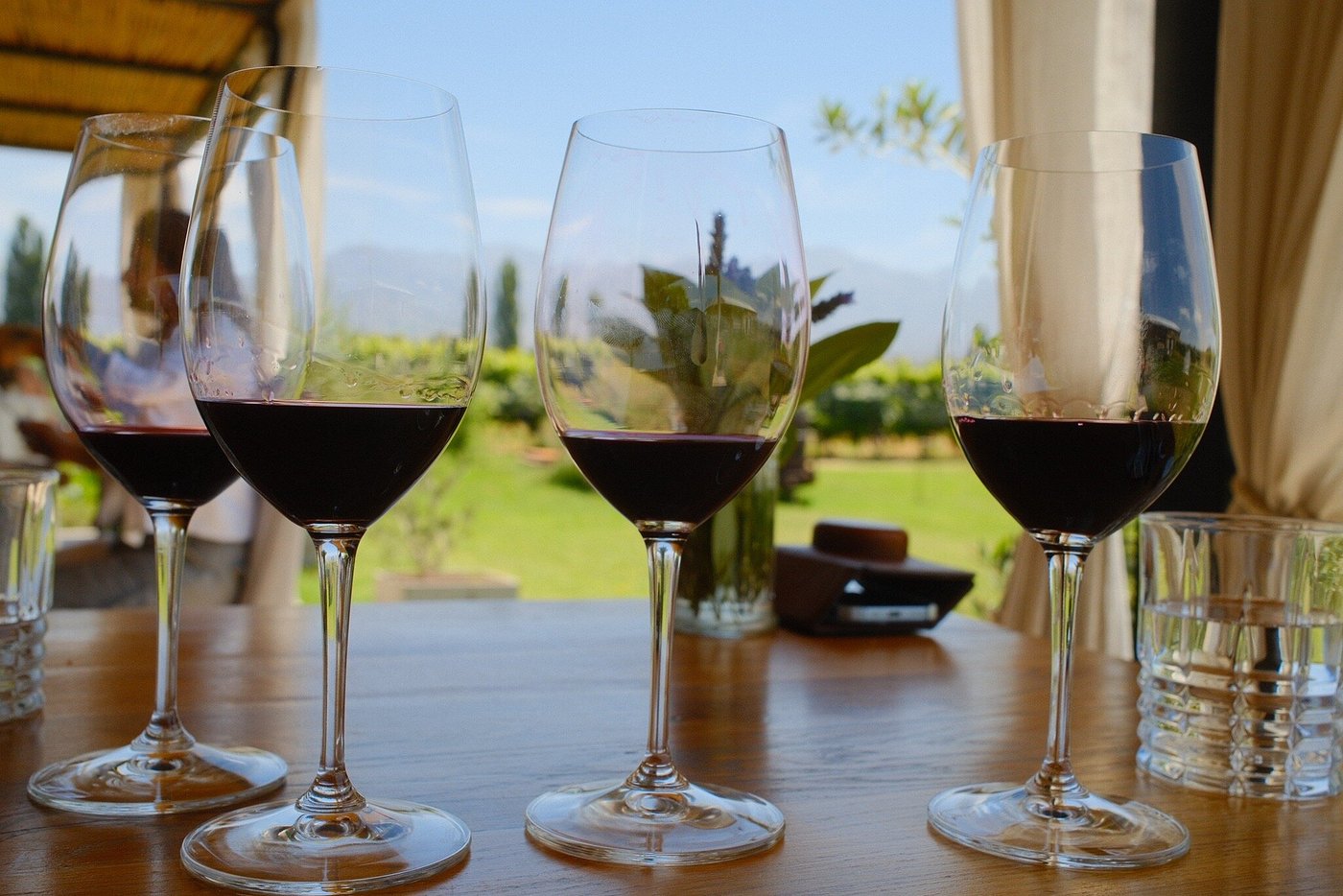 Riccitelli Wines: The New Wave of Argentine Wine - Image 7