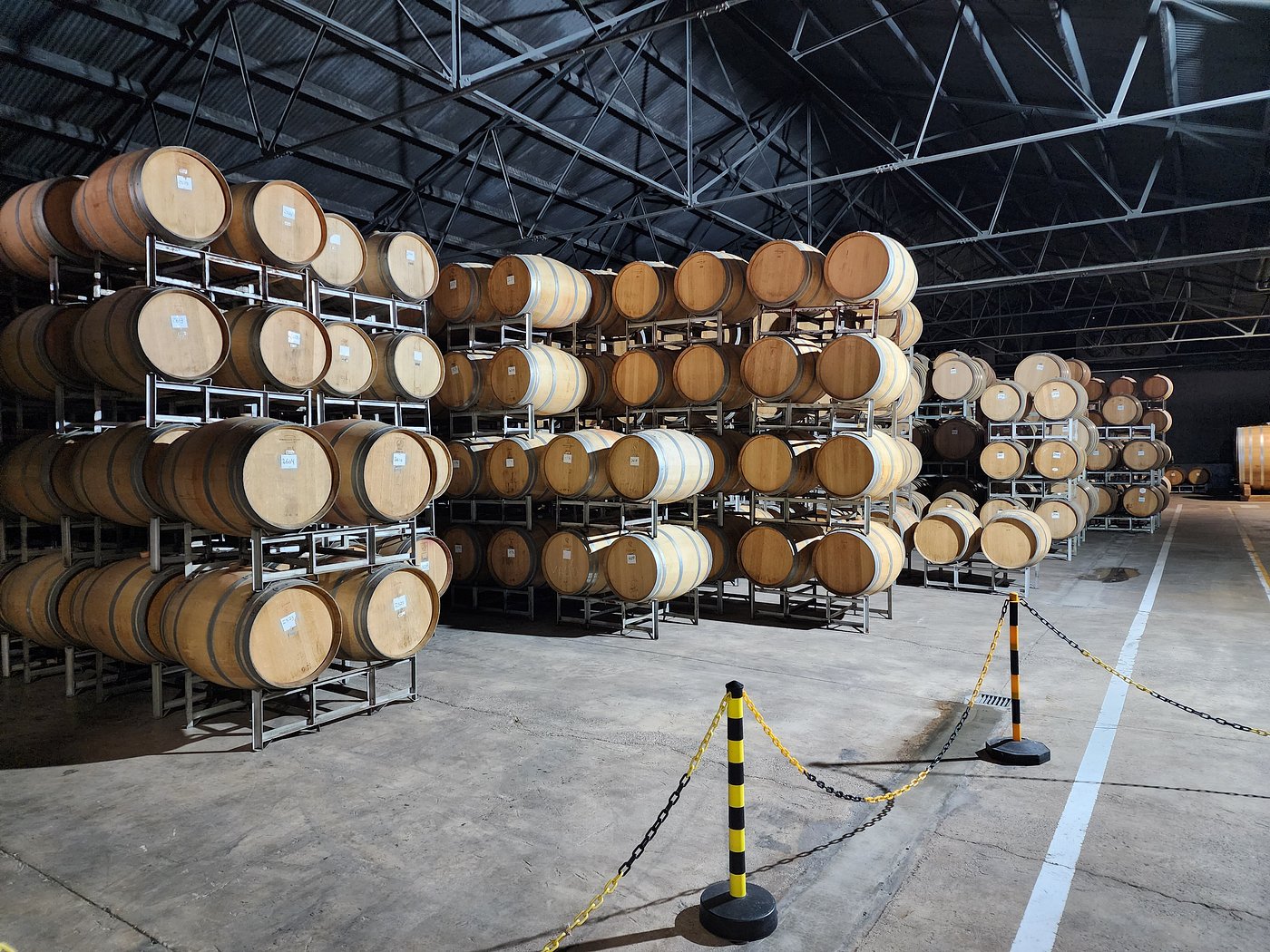 Discover Terrazas de los Andes: High-Altitude Wines with a View - Image 6