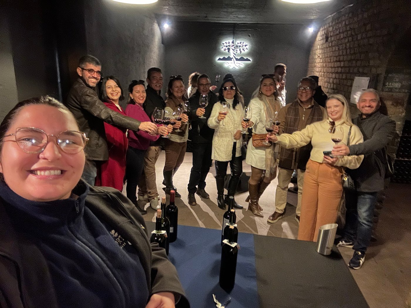 Norton Winery & Andes Views: A Classic Mendoza Experience - Image 9
