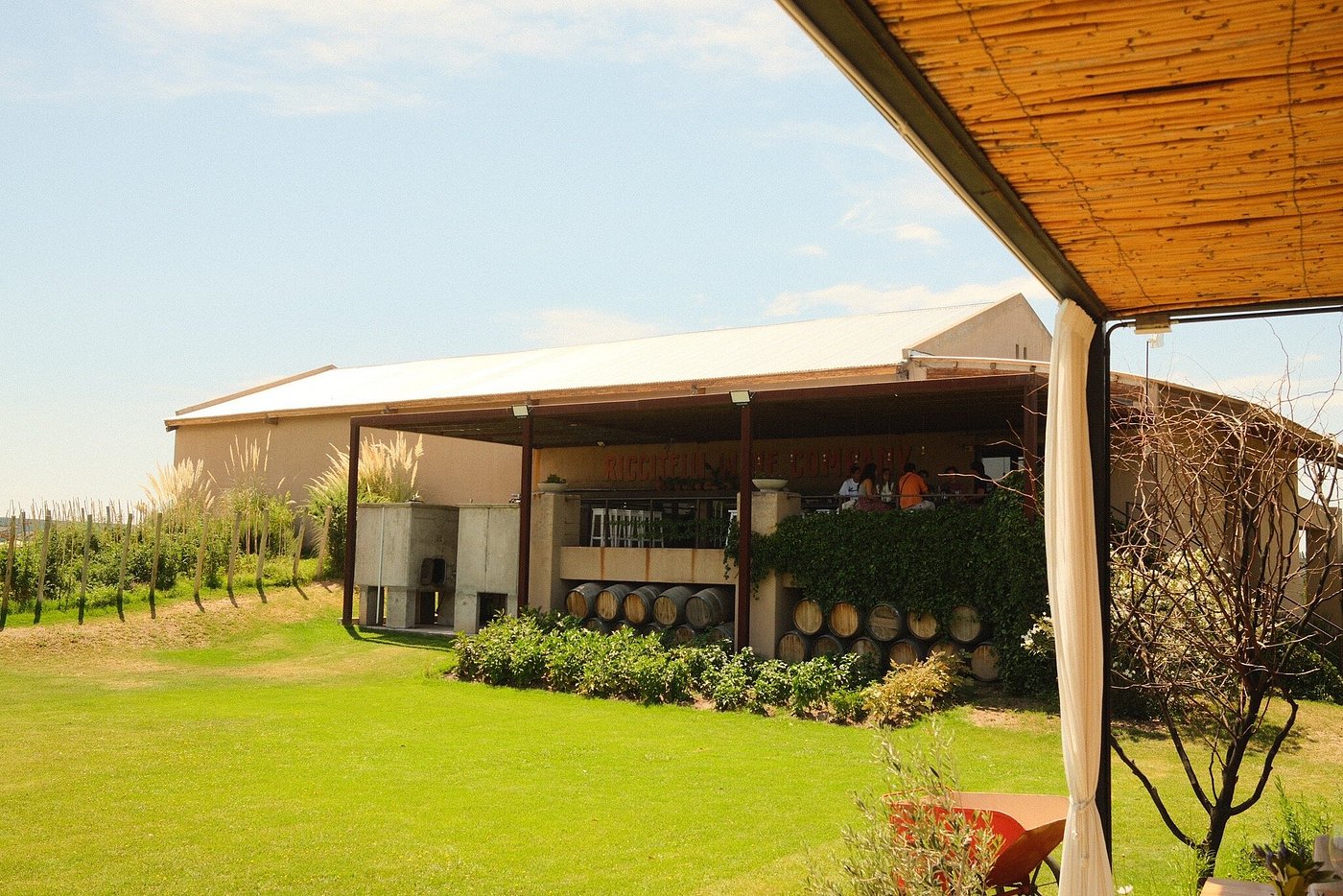 Riccitelli Wines: The New Wave of Argentine Wine - Image 10