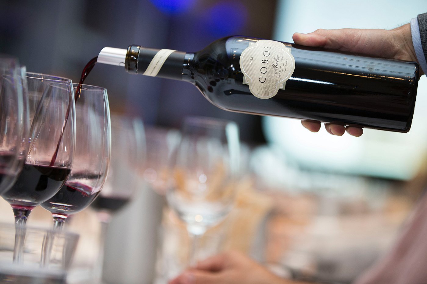 Viña Cobos: Ultra-Premium Wines by Paul Hobbs - Image 5