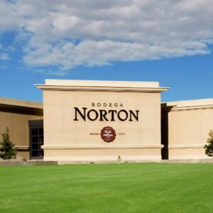 Norton Winery & Andes Views: A Classic Mendoza Experience