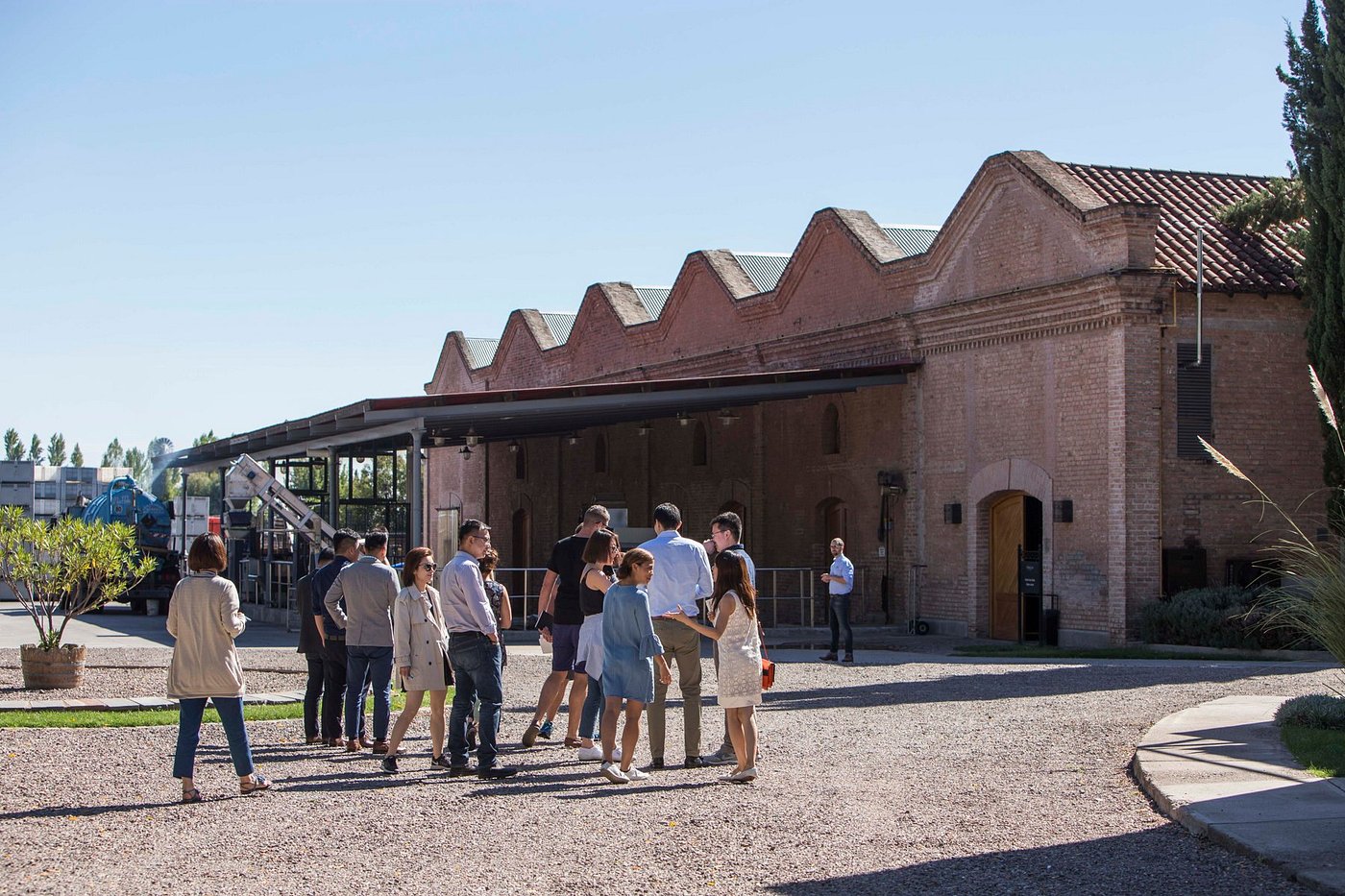 Discover Terrazas de los Andes: High-Altitude Wines with a View - Image 9
