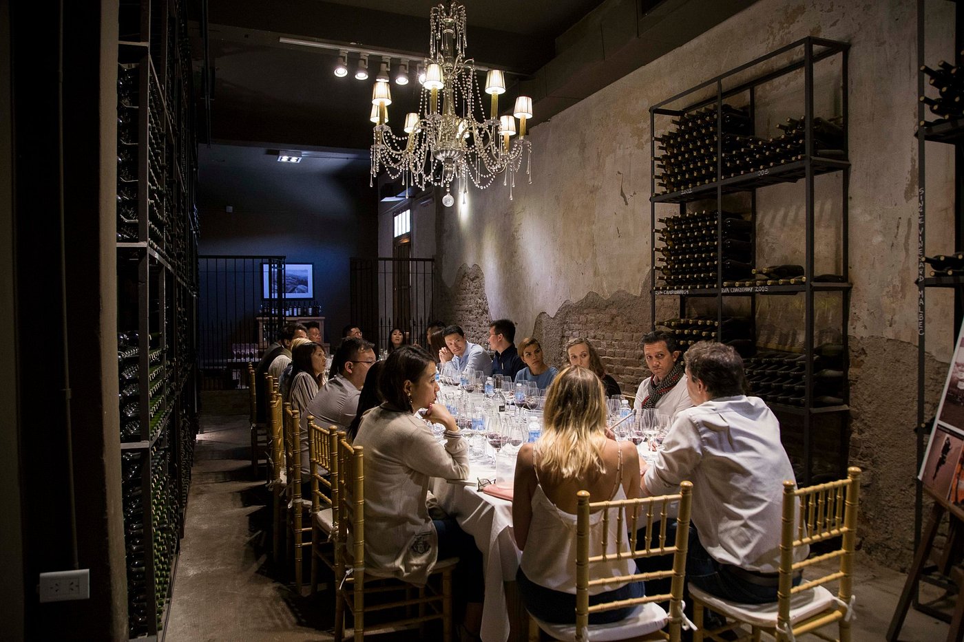 Discover Terrazas de los Andes: High-Altitude Wines with a View - Image 10