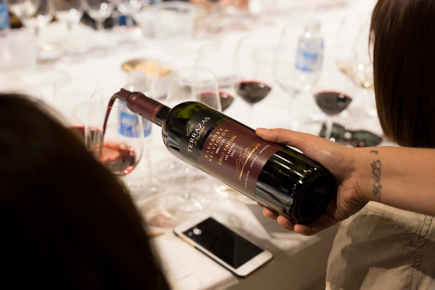 Discover Terrazas de los Andes: High-Altitude Wines with a View - Image 11