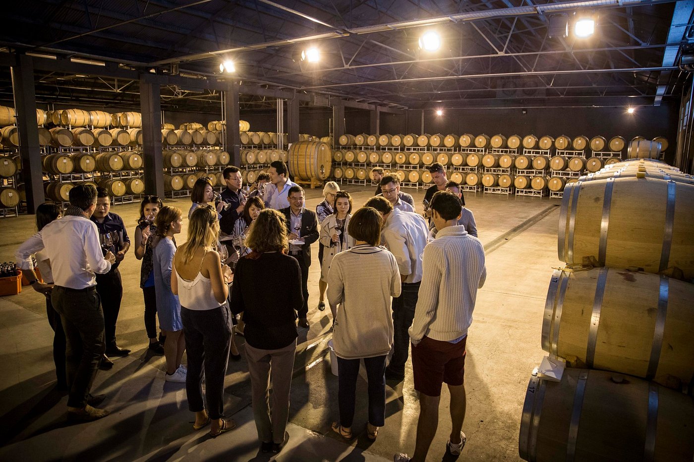 Discover Terrazas de los Andes: High-Altitude Wines with a View - Image 12